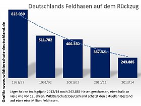 Bild: Grafik