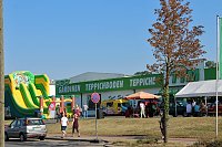 Best of Karneval