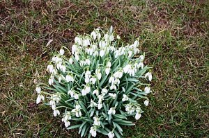 Fr&uuml;hling angekommen