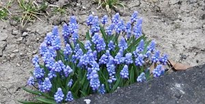 Fr&uuml;hling angekommen