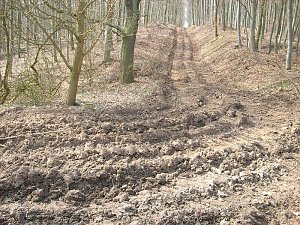 Waldgang am Possen