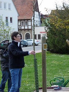 Baum gepflanzt