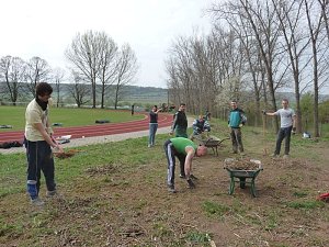 Fr&uuml;hjahrsputz Bad Frankenhausen