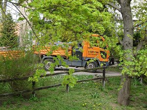 Fr&uuml;hjahrsputz Bad Frankenhausen