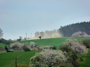 Neues aus Rottleben