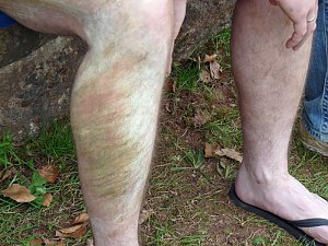 Fu&szlig;ballturnier im Borntal