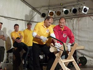 Maibaumk&ouml;nig