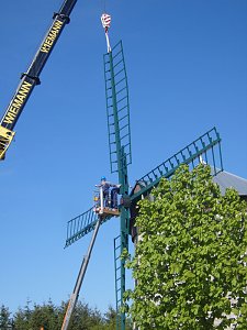 Endlich Fl&uuml;gel
