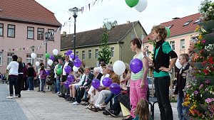 Fliederkrone gesetzt