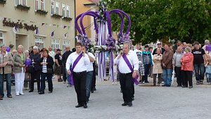 Fliederkrone gesetzt