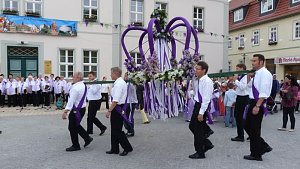 Fliederkrone gesetzt