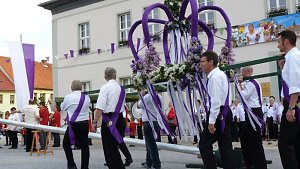 Fliederkrone gesetzt