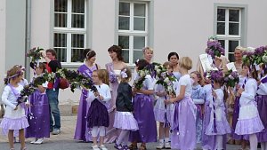 Fliederkrone gesetzt