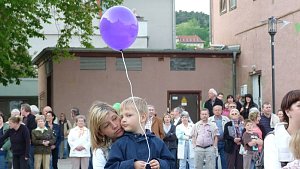 Fliederkrone gesetzt