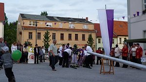 Fliederkrone gesetzt
