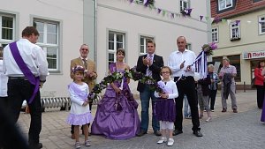 Fliederkrone gesetzt