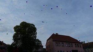 Fliederkrone gesetzt