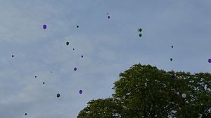 Fliederkrone gesetzt