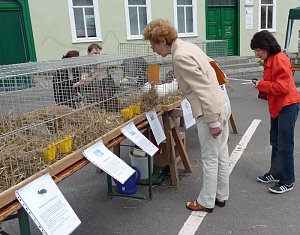 Impressionen Residenzfest
