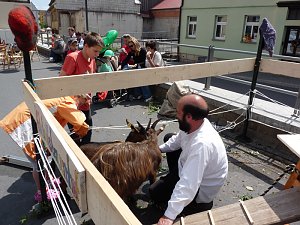 Impressionen Residenzfest