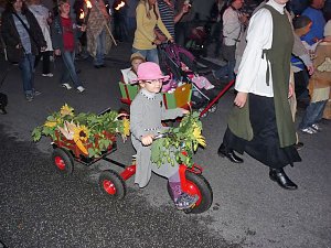 Bauernheer in Bad Frankenhausen
