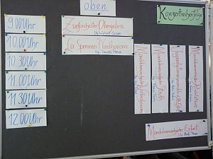 Landesmusikfest der Zupfmusiker