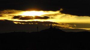 Enziane in der Heimat
