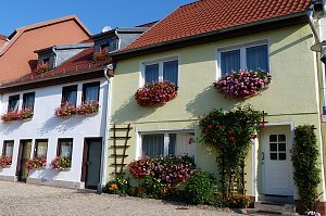 Blumenmeer Bad Frankenhausen
