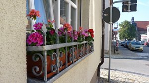 Blumenmeer Bad Frankenhausen
