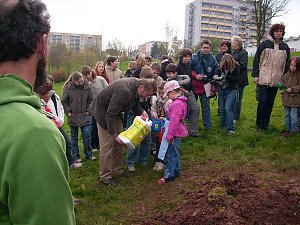 Baumpflanzung