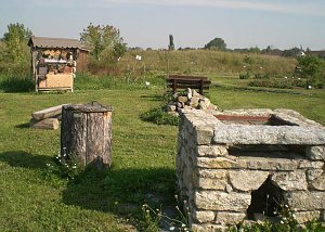 Kr&auml;utergarten Artern