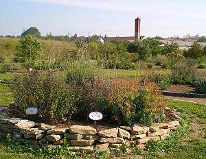 Kr&auml;utergarten Artern