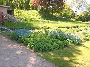 Schlosspark Ebeleben