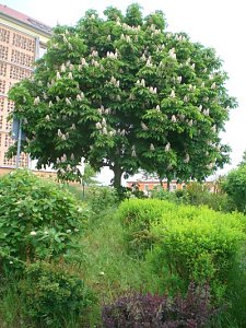 Vielfalt der Natur