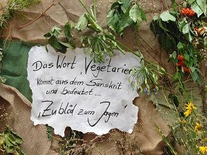 Was f&uuml;r ein Umzug (2)