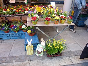 Von wegen Osterhase