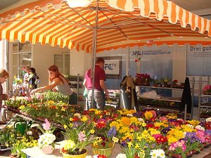 Sondersh&auml;user Ostermarkt
