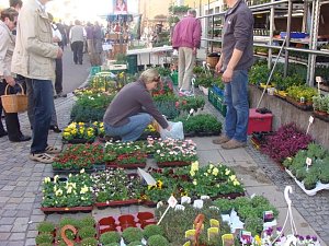 Sondersh&auml;user Ostermarkt
