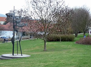 Durch Sondershausen (2)