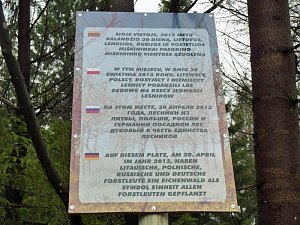 Internationale Baumpflanzaktion