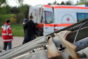 Nachwuchs gesucht