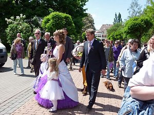 Flieder geehrt