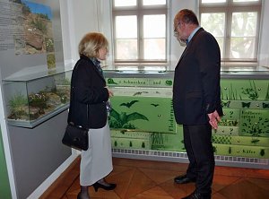 Neue Ausstellung geplant
