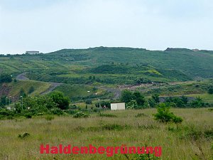 Geschichte Kaliabbau Ro&szlig;leben