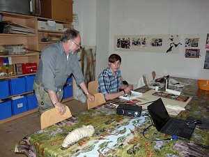 Schatzkammern des Wissens