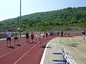 Jugend trainiert f&uuml;r Olympia