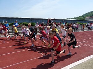 Jugend trainiert f&uuml;r Olympia