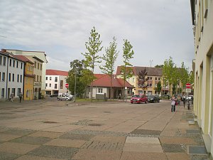 Artern ver&auml;ndert sich