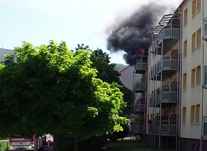 Brand in der Borntalstraße (2)