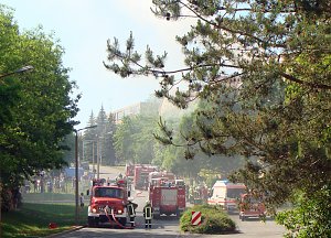 Brand in der Borntalstraße (2)